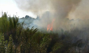 Protezione Civile Roma Capitale prosegue impegno contro incendi