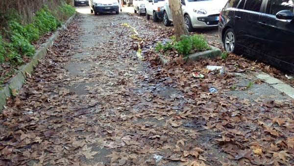 Roma, o del complotto delle maledette foglie che cadono a terra e non si spostano