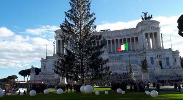 Perché chiamarlo “Spelacchio”? Bastava dire che fa schifo. Questo è accanimento