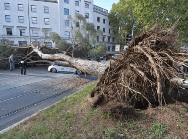 Campidoglio, da lunedì al via interventi sfalcio e pulizia in tutti i municipi di Roma