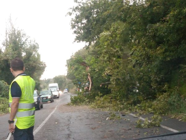 Il maltempo sconvolge Roma Nord: allagamenti e alberi caduti