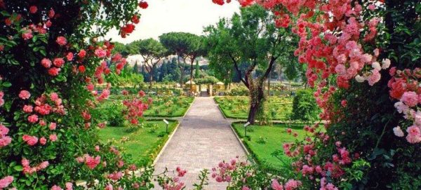 Campidoglio, il Roseto Comunale riapre i cancelli per la rifiorenza