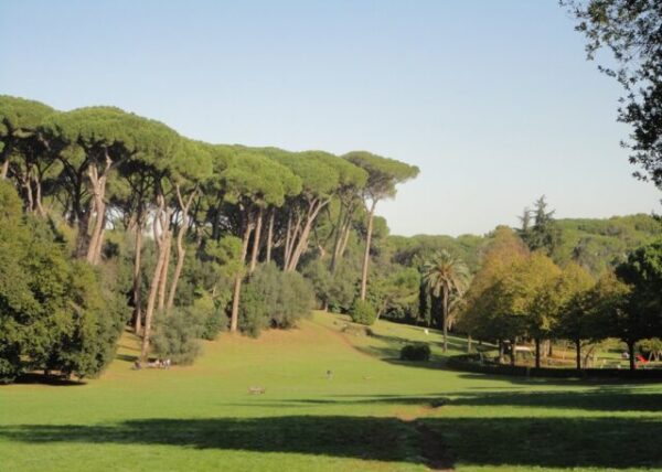 Ambiente, approvato progetto per la riforestazione di Villa Ada