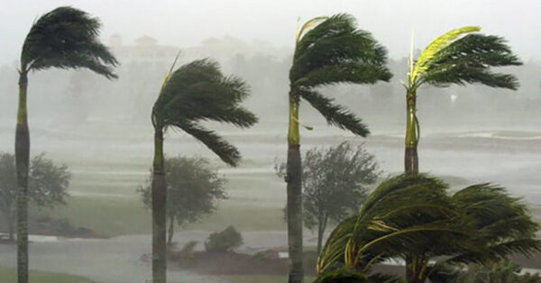 Allerta meteo per vento forte: stop scuole a Ostia, a Roma chiusi parchi, giardini e ville storiche