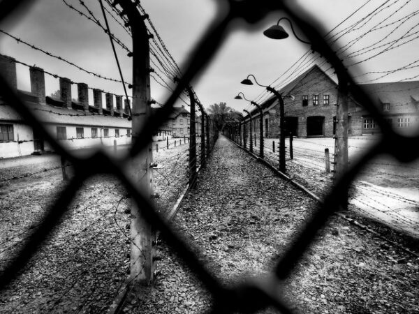 Shoah. Eleonora Mattia: “Bene iniziative della Regione per coltivare la Memoria storica tra i giovani”