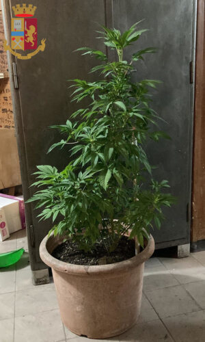 Ponte Milvio. Arrestati due uomini condannati per rapina e furto