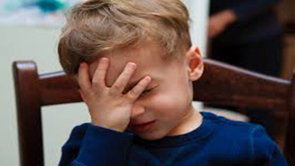 “Er cantastorie de Campo de Fiori” vi racconta la storia di 5500 euro di bonus “tecnologgico” ai parlamentari