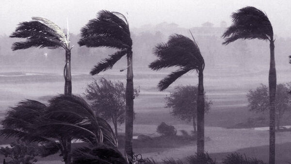 Maltempo sul Lazio: allerta gialla per vento forte per 24-36 ore