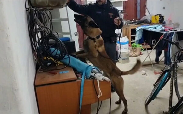 Operazione della Polizia di Stato in collaborazione con la DDA contro il traffico di esseri umani