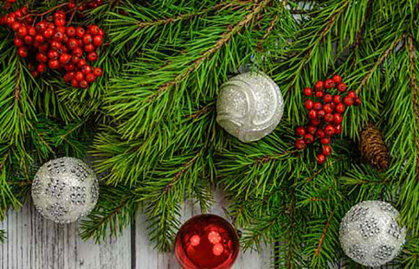 Guidonia. Tutto pronto per il Mercato Agricolo Natalizio di domenica 15 dicembre