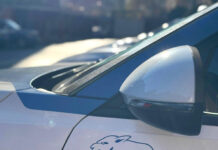 Droga nascosta tra le siepi e transenne per nascondersi: sette arresti a Tor Bella Monaca